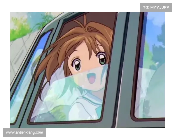 11月赛事;11月赛事小樱只看一天吗