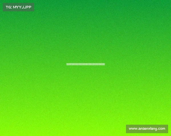 自由搏击世界舞台国际顶级锦标赛盛大开启高手激战精彩纷呈